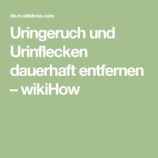 Bzw mit welchem reiniger und vorallem so, das sie heute abend wieder trocken ist???? Die 26 Besten Ideen Zu Urin Entfernen Urin Urinflecken Katzenurin