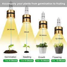 Regular lamps like floor lamps or desk lamps that you might have in your house do not put out the right spectrum of light to grow marijuana plants. Led Grow Light Bulb Full Spectrum 120w 150w 300w Sunlike Cob Led Plant Grow Lamp For Indoor Plant Greenhouse Veg Bloom Flowering Growing Lamp Bulbs Aliexpress