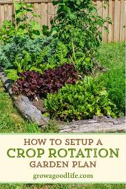 However, crop rotation isn't possible in small vegetable gardens. Benefits Of Crop Rotation For Your Vegetable Garden