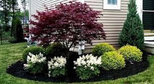 Front Yard Flower Bed Ideas 33 Home Landscaping Small Front Yard Landscaping House Landscape