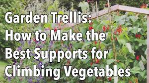 This is a good idea if you are keen to harvest early crops, you making a support: How To Make The Best Supports For Climbing Vegetables