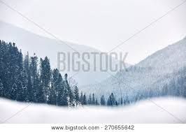 Multi Layered Mountain Winter Landscape Slopes And Evergreen Woods Covered With Snow Snowy Pine And Fir Tree Forest Snowfall On A Cold Frosty Day In The Mountains Gorge Christmas Background Poster Id 270655642