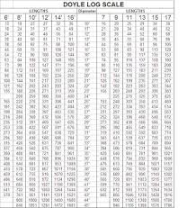 Doyle Log Scale Calculator Related Keywords Suggestions