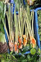 Resepi tomyam thai campur untuk maklumat lanjut resepi lawati: Tom Yum Wikipedia