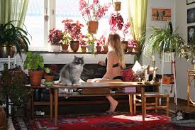 Toxic can also have various meanings. Living With Plants And Cats