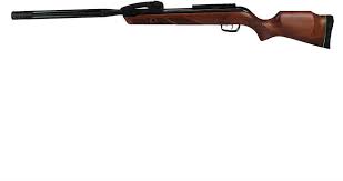 Pa, nj, ca, ma, ny. Gamo Swarm Bone Collector 22 Caliber 19 10 Barrel 10 Rounds 11361626