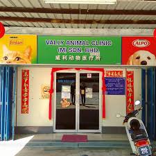 Dandaman kucing, cat grooming, menjual makanan dan. Vally Animal Clinic Melaka Pet Care Service In Melaka