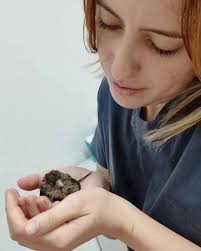 Profile for Veterinária Amanda Simões