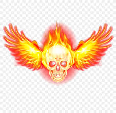 Here on free pngs we have one of the worlds largest free png collections. Flame Fire Wing Png 800x800px Flame Autocad Dxf Fire Logo Orange Download Free