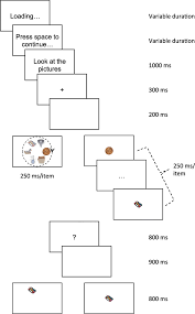 Memory and Proactive Interference for spatially distributed items