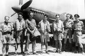 Image result for Gris 1995 Fleet