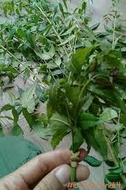 Maybe you would like to learn more about one of these? Pantang Larang Dan Petua Oh Wanita By Suzyhoneyherbs Facebook