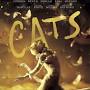 Cats (2019 film) from www.rottentomatoes.com