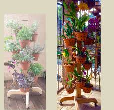 Many varieties of colorful and unusual orchids are easy to grow. Flower Pole Orchid Hanger Clay Pot Hanger Hang A Pot