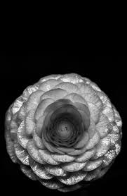 Agoston character analysis of meaning. Anna Agoston Untitled Vol 2 The Eye Of Photography Magazine