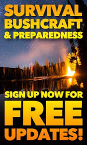 Pin On Coondogs Board