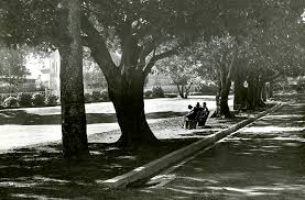 8 ball pool club, brisbane: More Tales From Musgrave Park Highgate Hill And Its History
