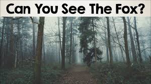 Can You Find The Hidden Animals In These 10 Photos Almost Nobody Can See All The Hidden Things What About You Illusion Pictures Illusion Photos Hidden Images