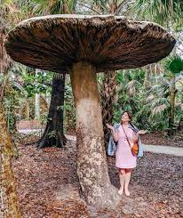 This Secret Garden Near Miami Will Make You Feel Like You Re Alice In Wonderland Alice In Wonderland Garden Florida Adventures Wonderland