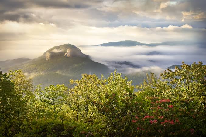 Looking Glass Rock Trail | Explore Asheville