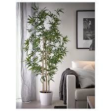 Fejka Artificial Potted Plant Indoor Outdoor Bamboo Shop Ikea Ikea In 2020 Artificial Potted Plants Ikea Plants Artificial Plants Indoor