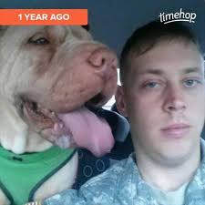 Chris Ellard (@cellard23)