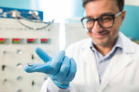 Stepping Into the Metaverse