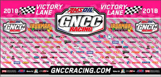 13,000+ vectors, stock photos & psd files. Background Racing Pink Rahman Gambar