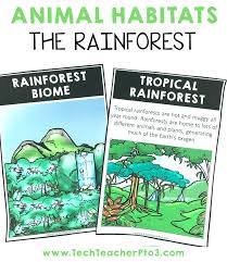 Animal Habitats The Rainforest Biome Animal Habitats Rainforest Biome Biomes