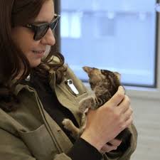 @JoannaStern's video Tweet