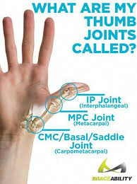 Pin On Arthritis Therapy Ideas