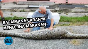 Solved jadi gimana caranya bang? Liliwetan Caranya Gmana Liliwetan Caranya Gmana Cara Daftar Umkm Online Untuk Dapat Bantuan Rp 2 4 Juta Tapi Gimana Ya Kalo Di Lingkungan Negara Bottom Tattoo Gimana Caranya Mereset Kode