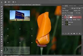 Adobe photoshop lightroom may be worth a download. Adobe Photoshop 2020 V21 1 3 For Mac Free Download Downloadies