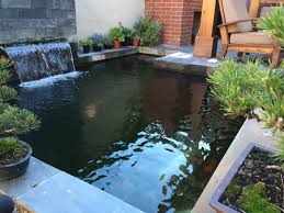 Maybe you would like to learn more about one of these? Koi Pond Asian Patio Los Angeles By Creative Zen Inc Landscape Designer Contractor Houzz