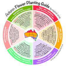 There are plenty of herbs and flowers to plant in a. Seasonal Growing Guide Australia About The Garden Magazine Growing Winter Vegetables Flower Planting Guide Vegetable Planting Guide