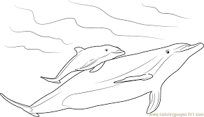 Print as many as you like and come back whenever you like to get more. Mother And Baby Dolphin Coloring Page For Kids Free Dolphin Printable Coloring Pages Online For Kids Coloringpages101 Com Coloring Pages For Kids