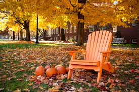 Image result for Chrome Yellow 1956 Twin Cities Milk Producers Association