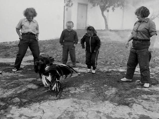 Even Dwarfs Started Small (1970) - IMDb