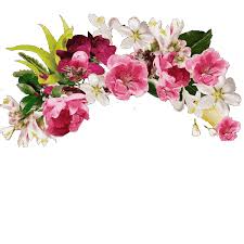 In this category, you will find awesome flowers images and animated flowers gifs! Via Giphy Colorful Gifs Floral Border Design Transparent Flowers