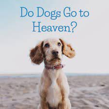Also known as the our father prayer, it has been translated into many languages. Do Dogs Go To Heaven A Christian Perspective Pethelpful