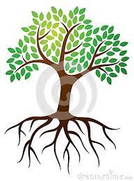 Clip Art Tree Roots Viewing Gallery Tree Illustration Tree Roots Tree Drawing