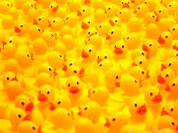 We present you our collection of desktop wallpaper theme: Rubber Duck Wallpapers Wallpaper Cave