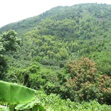 Tay Ninh Province: All You Need to Know Before You Go (2025)