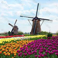 荷蘭（荷蘭語：nederland， ˈneːdərˌlɑnt （ 聆聽），意為低地之國），又譯尼德蘭，是主權國家荷蘭王國（荷蘭語：koninkrijk der nederlanden）下的主要構成國，與美洲加勒比地區的阿魯巴、庫拉索和荷屬聖馬丁等四個主體，共同. è·å…°é£Žè½¦éƒé‡'é¦™é£Žæ™¯è£…é¥°è£…ä¿®ç´ æå…è´¹ä¸‹è½½ å›¾ç‰‡ç¼–å· 5938585 å…­å›¾ç½'