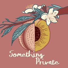 Investment director at temasek holdings. Something Private Podcast Podtail