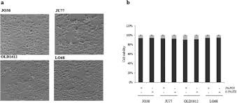 Your doctor will want to discuss treatment options as well as the prognosis for bladder cancer. Secreted Primary Human Malignant Mesothelioma Exosome Signature Reflects Oncogenic Cargo Scientific Reports