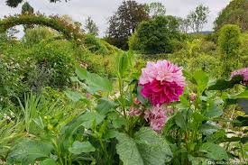 Claude monet hat giverny durch zufall entdeckt, sich in diesen ort verliebt und nachdem er dort das alte presshaus gekauft hat fast vierzig jahre seines lebens an… Vernon The Gardens Of Claude Monet In Giverny France