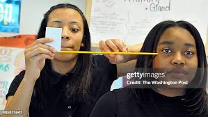 84 Dr Henry A Wise Jr High School Stock Photos, High-Res Pictures, and  Images