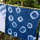 Indigo Dye Workshop event image