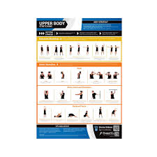 Posterfit Upper Body Stretching Chart